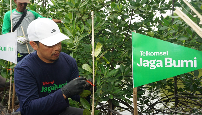 Telkomsel Tanam 2.000 Bibit Mangrove