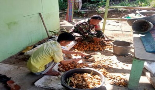 Anjangsana ke Rumah Warga, Babinsa Koramil 07/Salak Ikut Kupas Hasil Panen Pinang