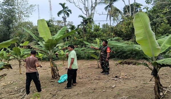 TNI Ajak Petani Dorong Produktivitas dan Ketahanan Pangan
